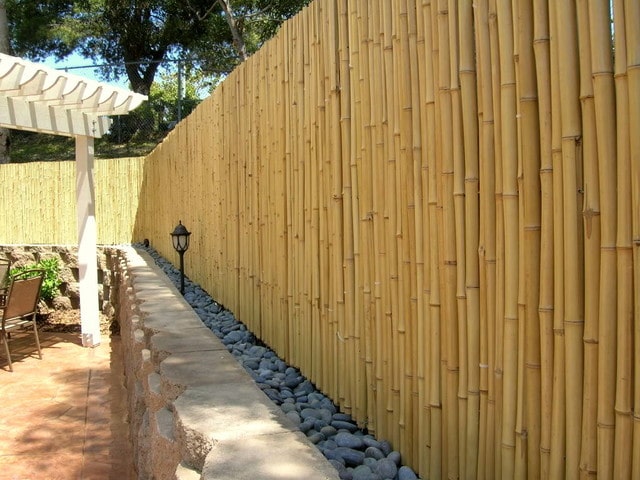 Bamboo Fencing Great Uses