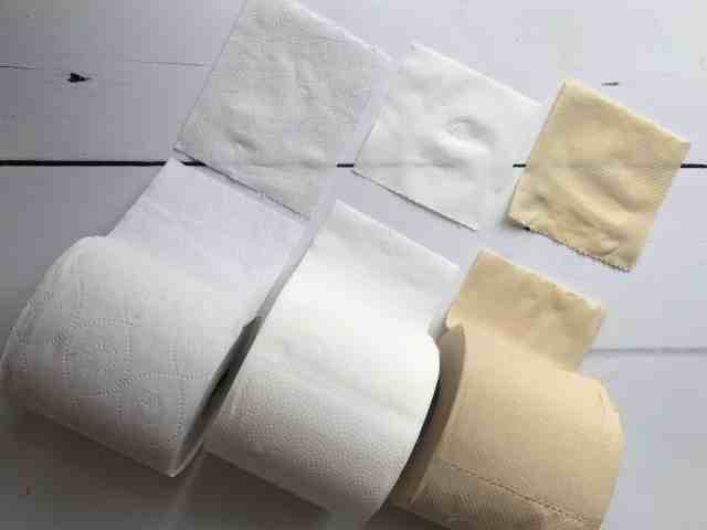 Bamboo Toilet Paper vs. Traditional