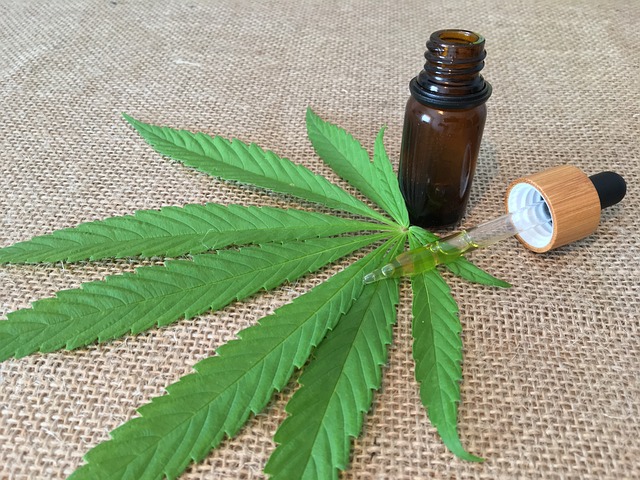 Incorporate CBD in Your Routine